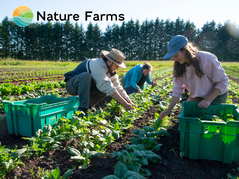 HS NF Veg Farm 800x600